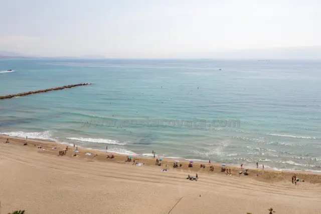 Penthouse in El Campello Playa photo 43