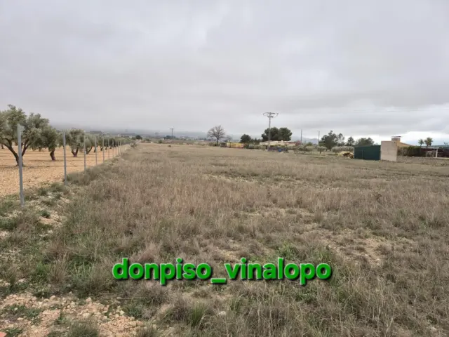 Rustic finca in Rustic Plot in Partida del Pinar- Las Tiesas photo 3