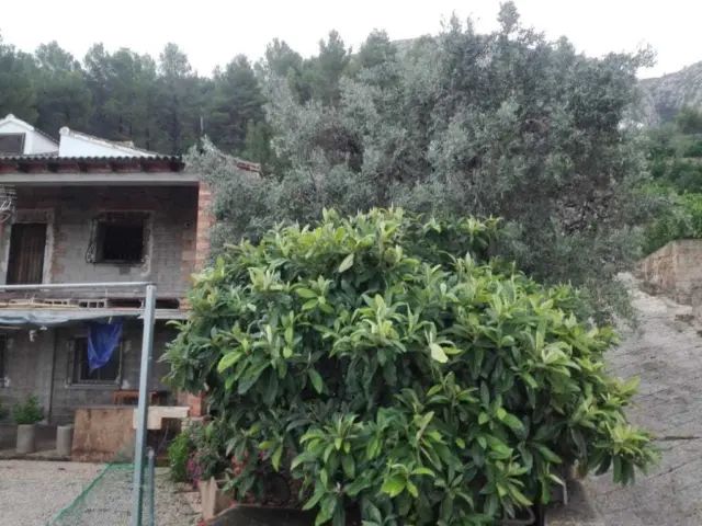 Rustic farm in Pego