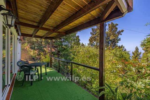 House on Camino de la Quinta photo 8