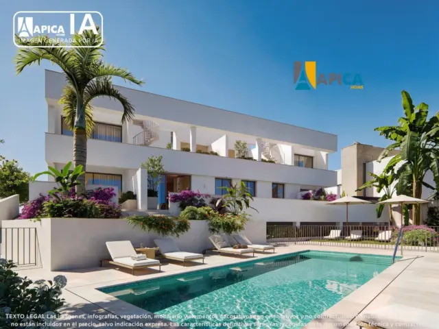 Apartment in Conil Sol