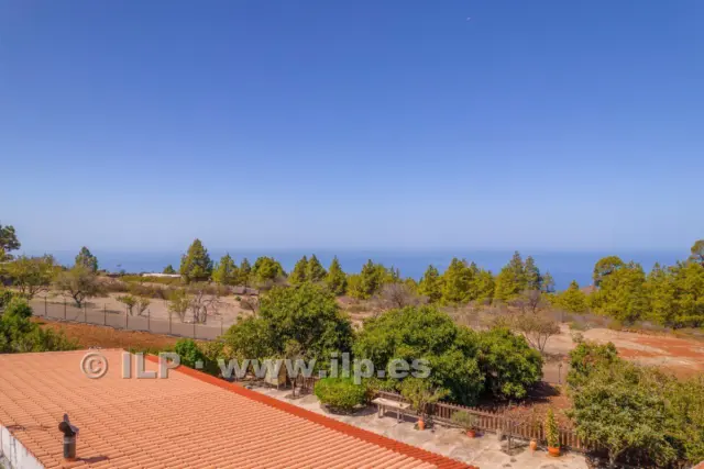 House on Camino del Pinar photo 56