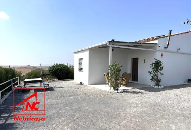 Rustic farm in Lebrija photo 3