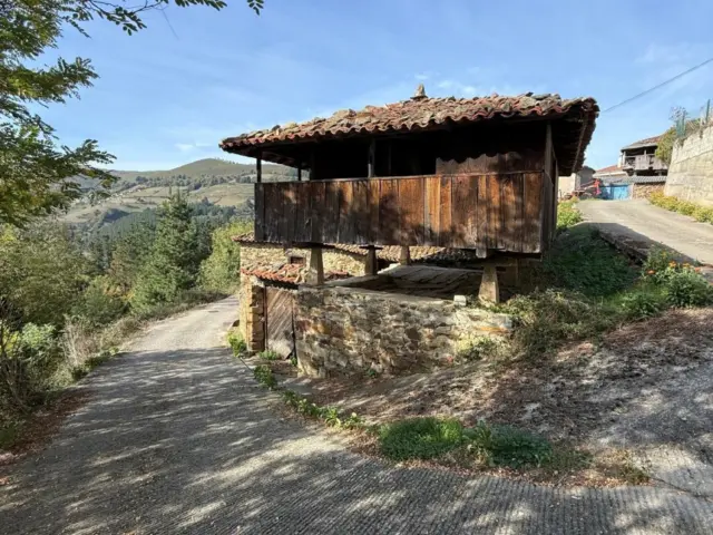 House on Calle Lg San Pedru Culiema, No. 11