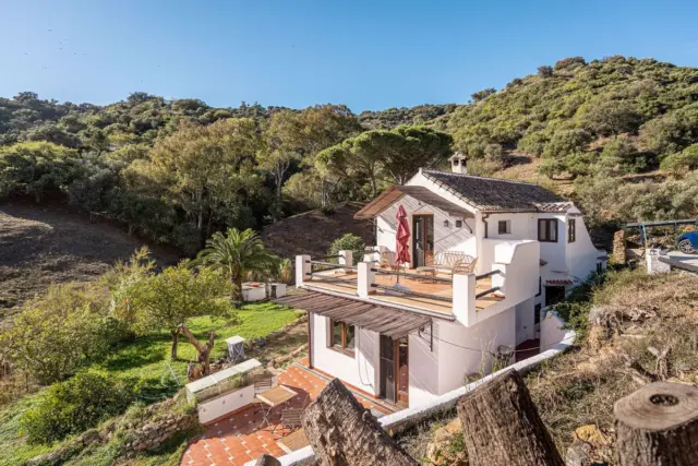 Rustic Finca in Casares Area