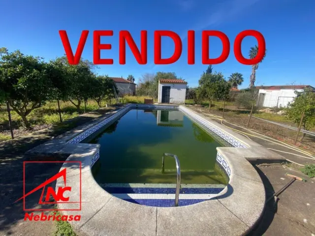 Rustic farm in Las Cabezas de San Juan