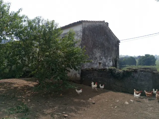 House on Calle Solórzano