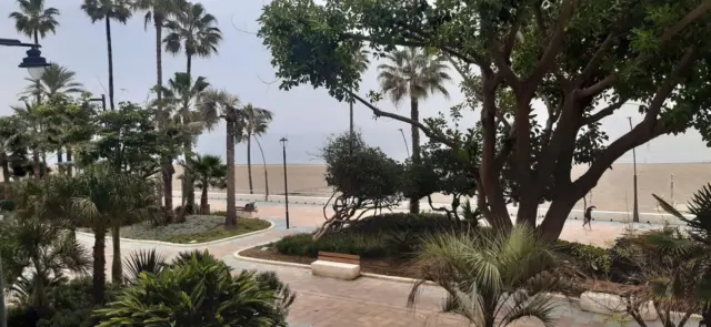 Apartment, newly renovated, first line of the Beach, center of Estepona. It has 2 bedrooms, two bathrooms, living room, kitchen and terrace. Very good investment. WiFi. En-Suite Bathroom. Access for people with reduced mobility. Double glazing. Restaurant. Fiber optic. Automatic doorman. Alarm. Facing the beach. Vacation homes. Investment. Luxury. Resale.
