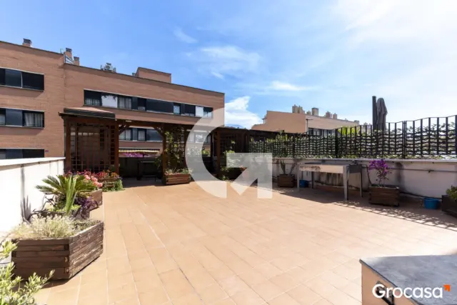 Apartment on Ps Comte de Vilardaga Street photo 2