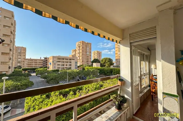 Apartment on Paseo del Palmeral photo 16