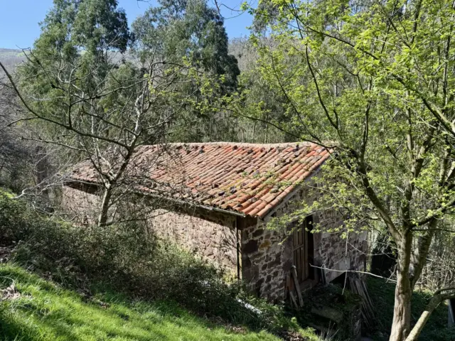 House on La Quieva Street, No. Information Not Available photo 4