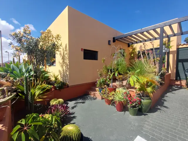 Single-family house on Calle Drago, 1