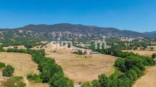 Rustic Finca in Zona Rustica