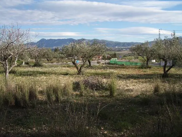 Land for sale in Ptd. El Rodat, L'Olleria of 15.000 €