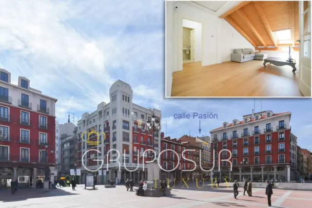 Flat on Calle de la Pasión photo 2