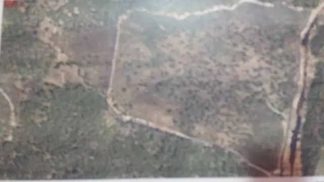 Rustic Finca in El Chaparral