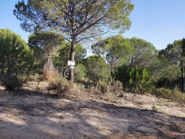 Rustic property in Los Pinos
