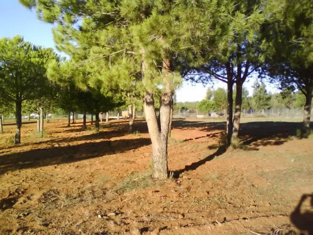 Rustic farm in Fuente de La Corcha