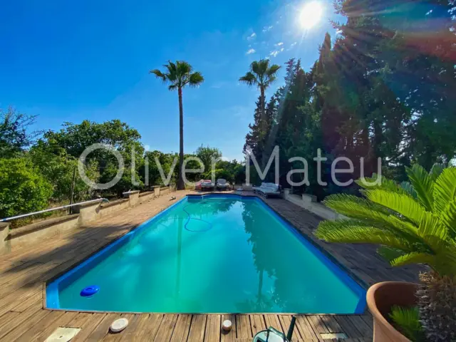 House in Algaida photo 29