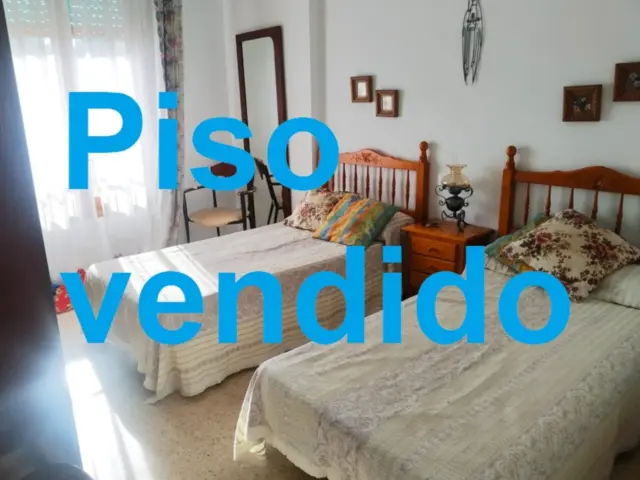 Apartment on Calle del Atleta Antonio Amorós photo 37