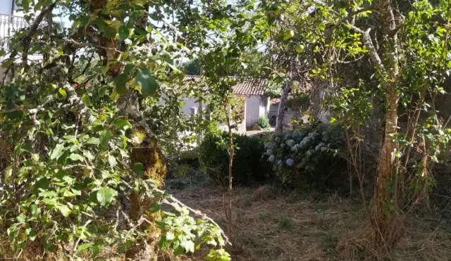 House in Piñor