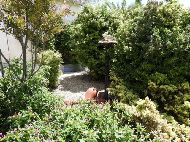 House on Calle Diseminados photo 18