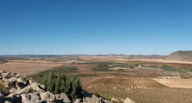 Rustic farm in Carretera de la Tobarra