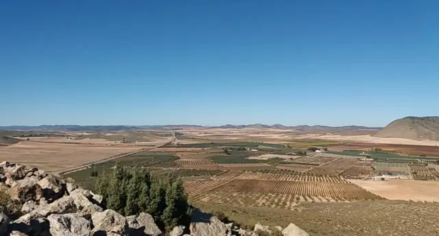 Rustic farm in Tobarra