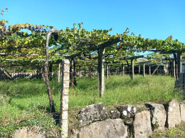Rustic farm in Caleiro (Resto Parroquia)