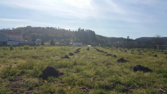 Rustic farm in Sayar
