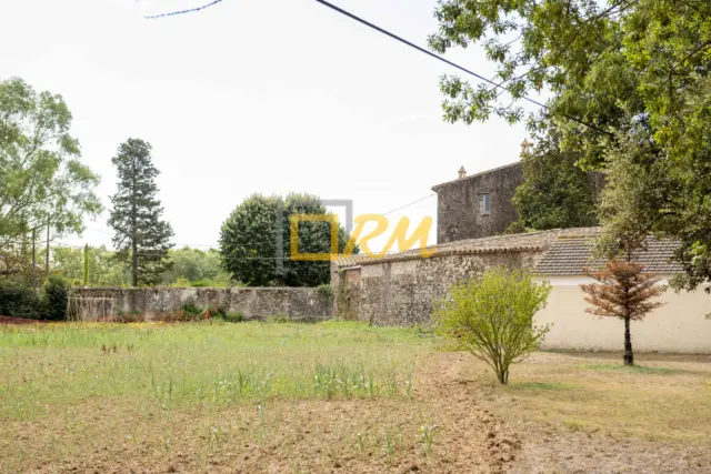 Rustic finca on Calle Roberto photo 57