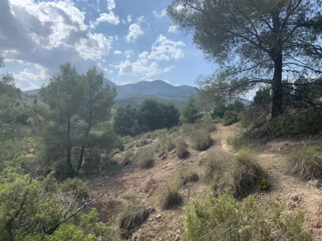 Finca rústica en calle Coto de Genaro