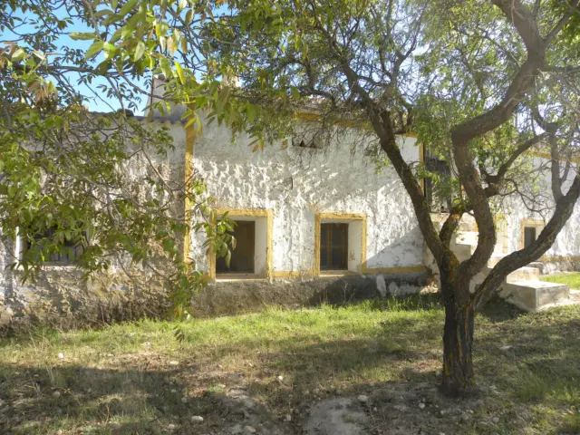 Rustic finca on Calle Casa Puero photo 36