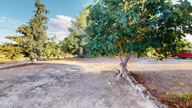 Rustic Finca in Pedanias and North West