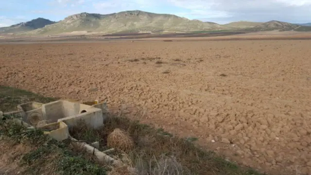Rustic farm in Sur Jumilla