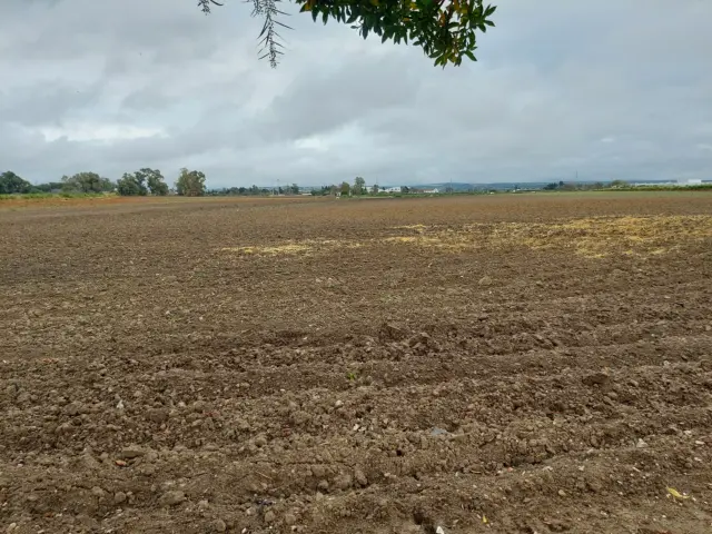 Rustic farm in the North