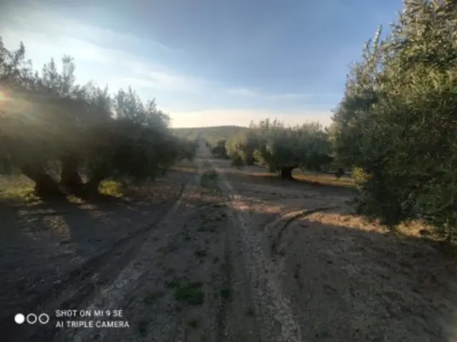 Rustic farm on Calle Termino de Doña Mencia