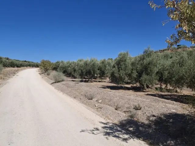 Rustic farm in Luque