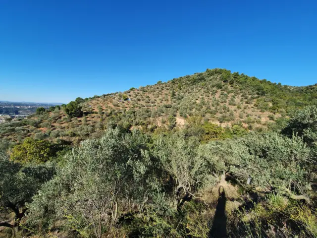 Rustic finca in Olesa de Montserrat
