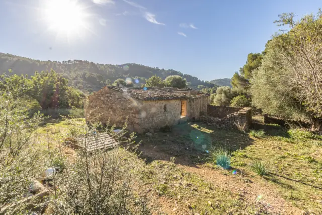 Rustic Finca in Alaró photo 7