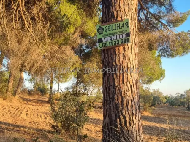 Rustic farm in Navahermosa