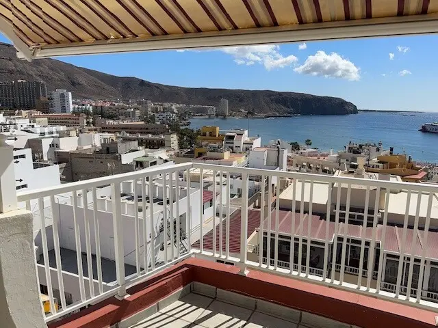 Penthouse on Avenida de Suecia, 30 photo 7