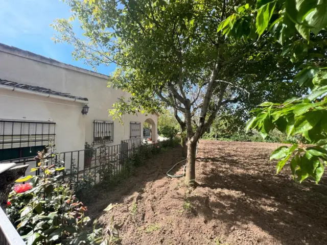 Chalet on Poligono Street photo 7