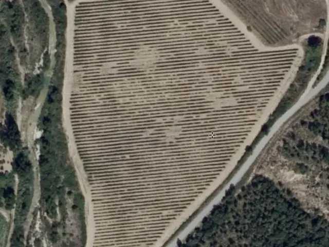 Finca rústica en Polígono Santa Maria de Dulcis