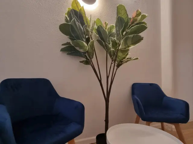 Piso en alquiler en Carrer de Ferran, cerca de Carrer Quintana - Imagen 38