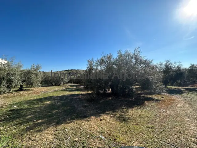 Rustic farm on Puente Genil Road photo 4