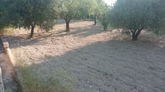 Rustic farm in Pasaje El Reventon, No. 19