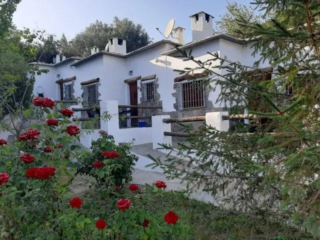 Rustic house at Pasaje Molino del Calvo, No. 1 photo 130