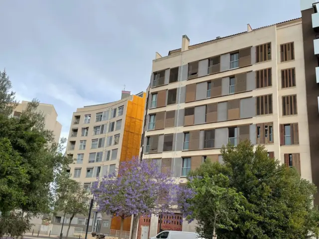 Apartment on Río Taibilla Street photo 3