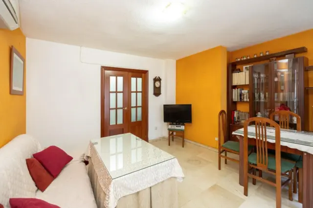 Apartment on Veracruz Street